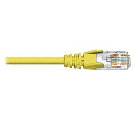 Câble de raccordement CAT5e - 100 pieds