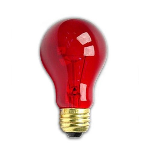 Ampoule Rouge Transparente 60W A19 - Éclairage