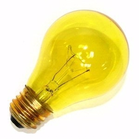 A19 60W Transparent Yellow Bulb