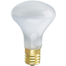R14 40W Accent Light