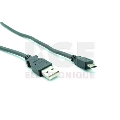 Câble USB 2.0 A à Micro-B 10' Noir