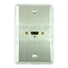 Stainless Steel Wall Plate with Female HDMI Connector