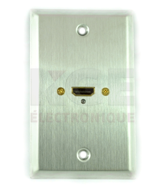 Plaque Murale en Acier Inoxydable avec Connecteur HDMI Femelle