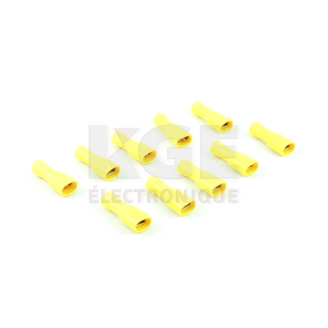10-Pack 0.250
