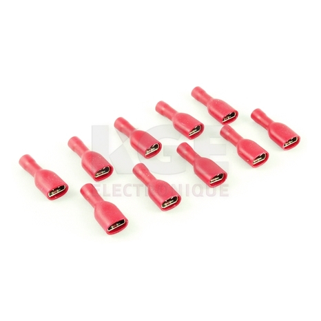 10-Pack 0.250