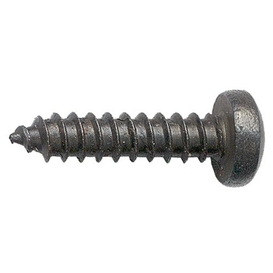 10-Pack Black #8 Wood Screws