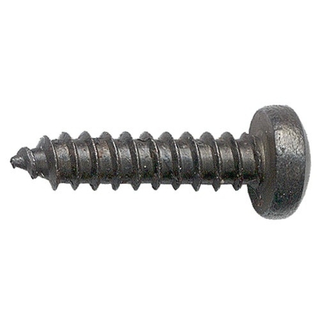 10-Pack Black #8 Wood Screws