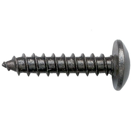 10-Pack Black #10 Wood Screws