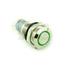 Green Illuminated 12V ON/OFF Push Switch