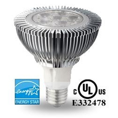 Warm White 6 LED Par30 Light Bulb
