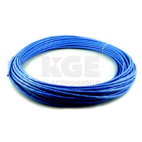 Blue 100ft CAT6 Network Wire