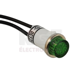 Lumière 12V AC/DC  - Vert