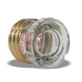 2-Pack Time Delay 25A D Type Fuses