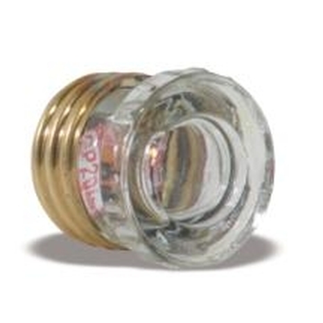 2-Pack Time Delay 25A D Type Fuses